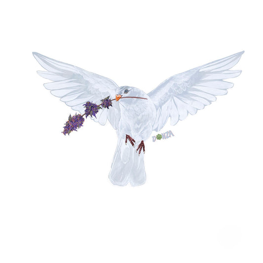 White Dove Of Peace | 329mm x 483mm Print